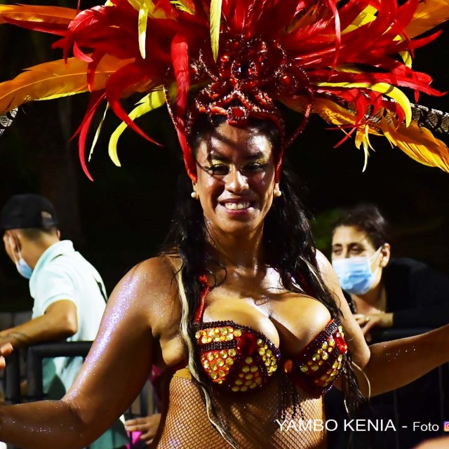 desfile 206